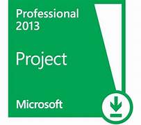 project pro 2013
