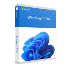 windows 11 pro 5 dispositivo