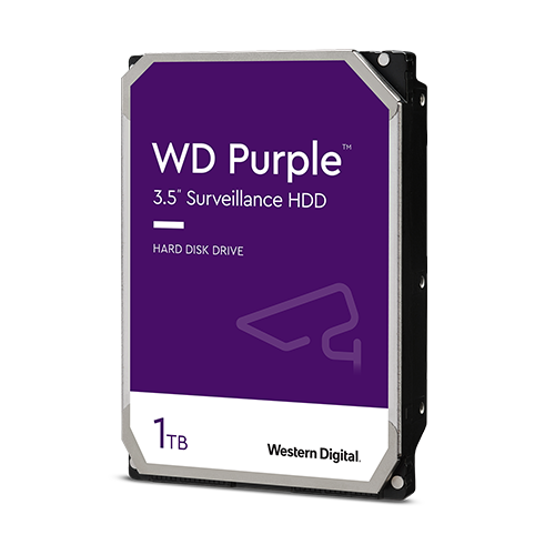 WD11PURZ