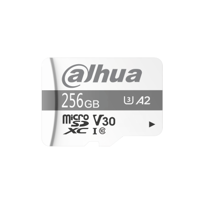 DHI-TF-P100-256GB