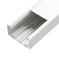 Canaleta 100x50x2000mm sin Separador