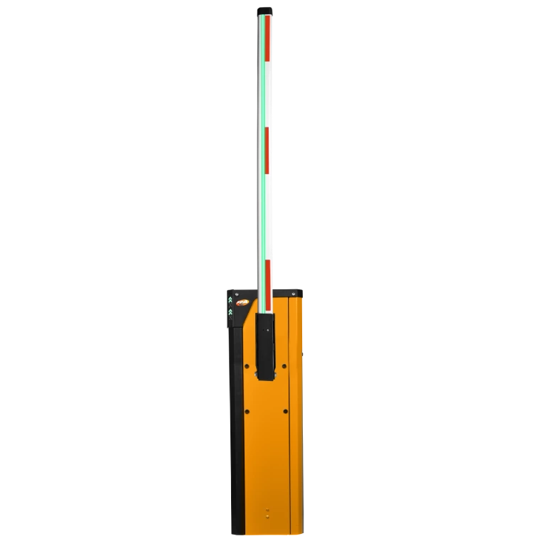 K10