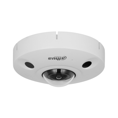 DH-IPC-EBW8842P-AS