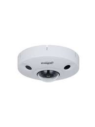 DH-IPC-EBW81242P-AS-S2