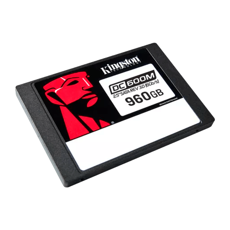 SSD-SKI-1311